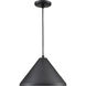 R Series 1 Light 13 inch Satin Black Outdoor Pendant